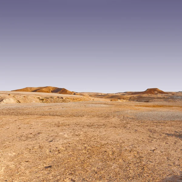 Deserto — Fotografia de Stock