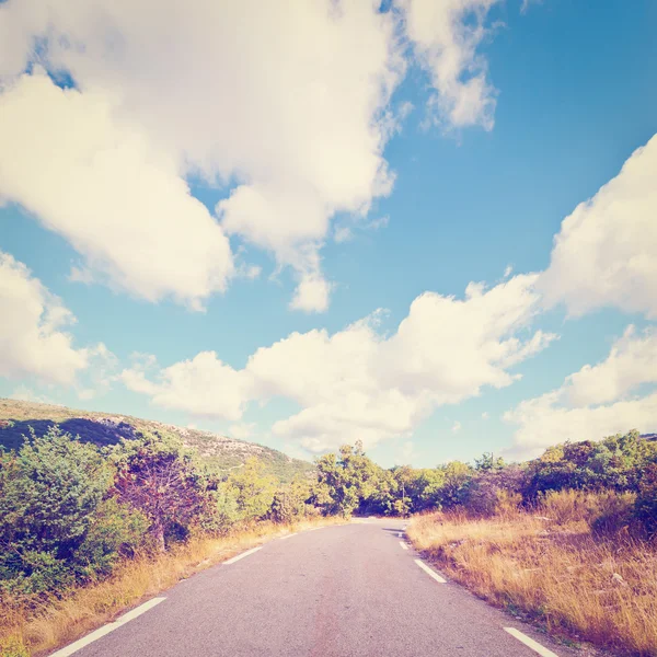 Asphalt Road — Stock Photo, Image