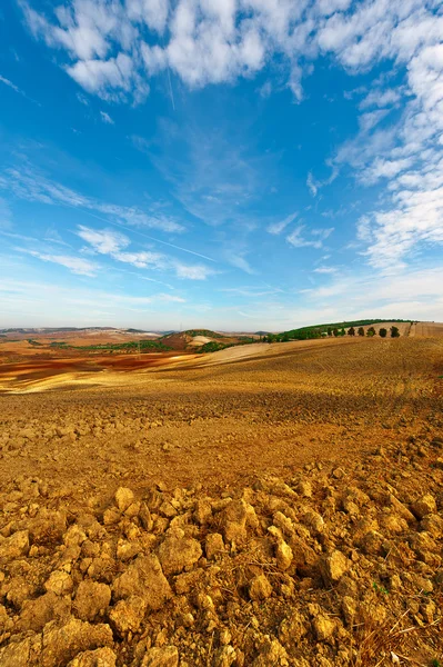 Plowed Hills — Stock Photo, Image