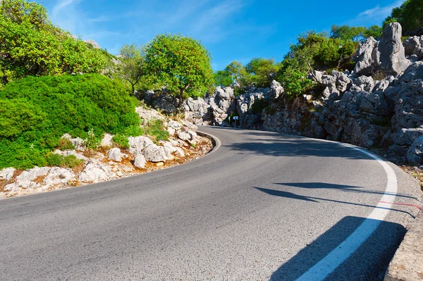 Asfalt yolu — Stok fotoğraf