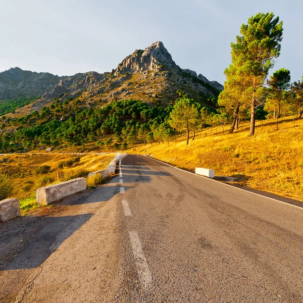 Asfalt yolu — Stok fotoğraf