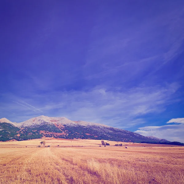 Fields — Stock Photo, Image