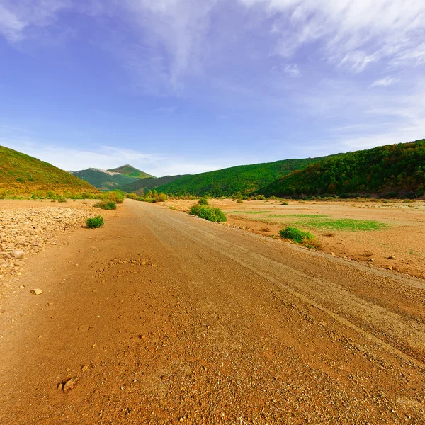 Dirt Road — Stock Photo, Image