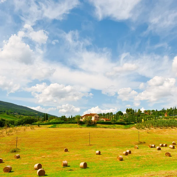 Tuscany Landscape — Stock Photo, Image