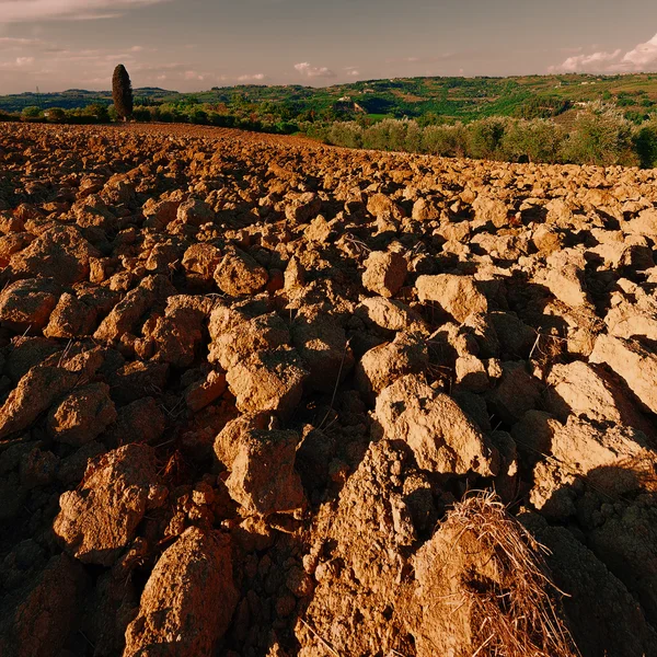 Rozoraný hills — Stock fotografie