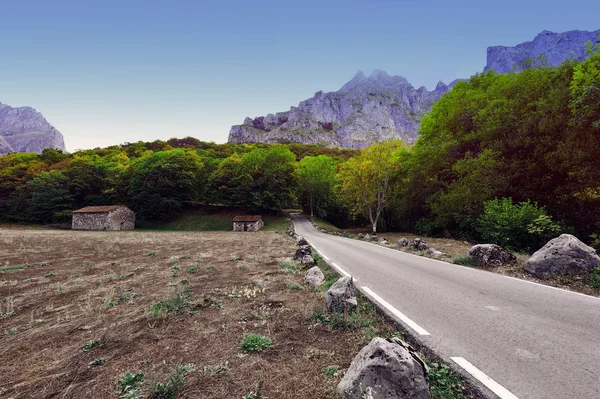 アスファルト道路 — ストック写真