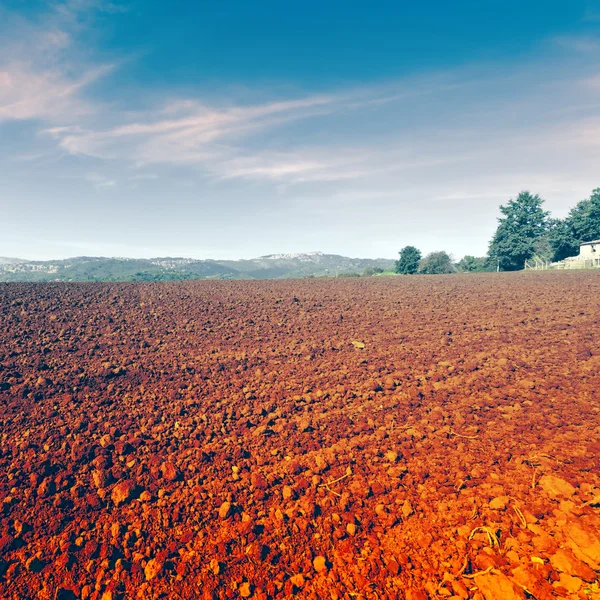 Field — Stock Photo, Image