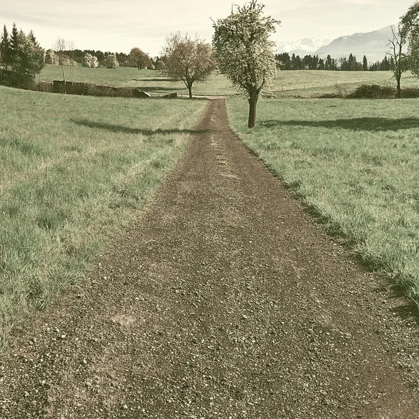 Estrada de terra — Fotografia de Stock