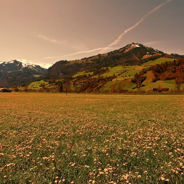 Alpi svizzere — Foto Stock