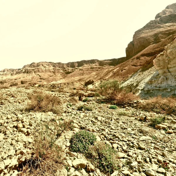 Piedra desierto —  Fotos de Stock