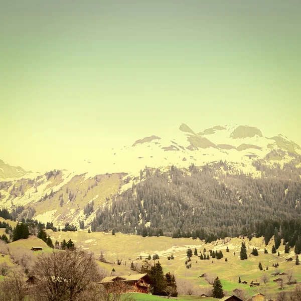 瑞士 阿尔卑斯山 — 图库照片