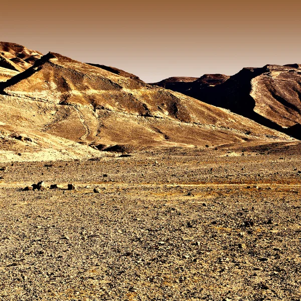 Negev Desert — Stock Photo, Image