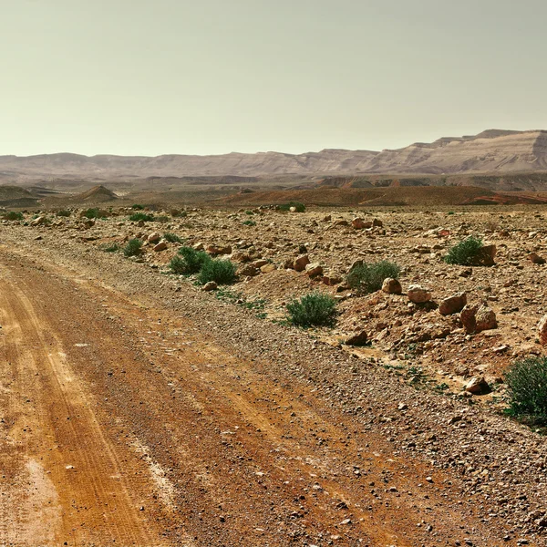 Dirt Road — Stock Photo, Image