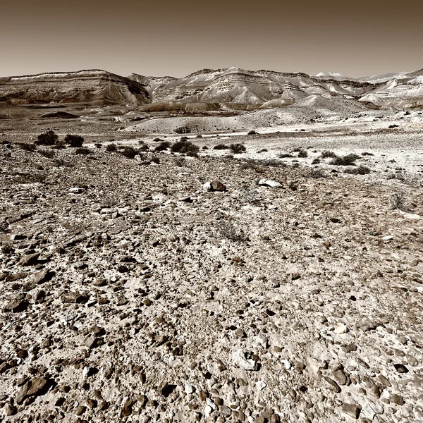 Cratera grande — Fotografia de Stock