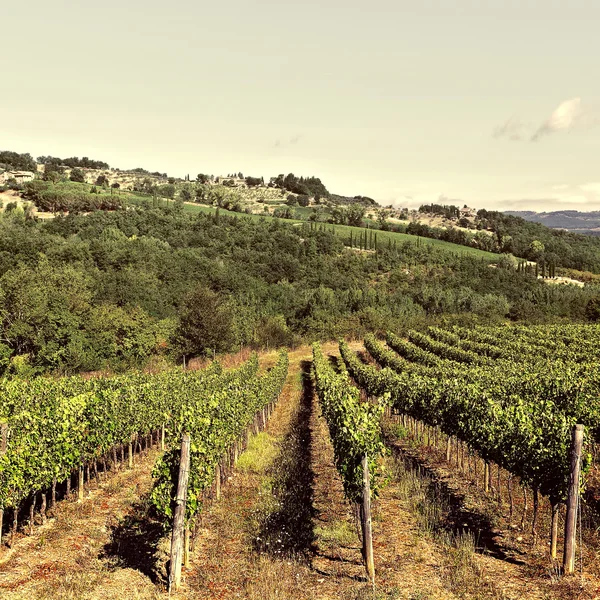 Tuscany — Stock Photo, Image