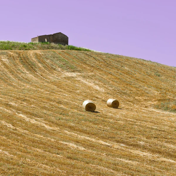 Hay Bales — Stock Photo, Image