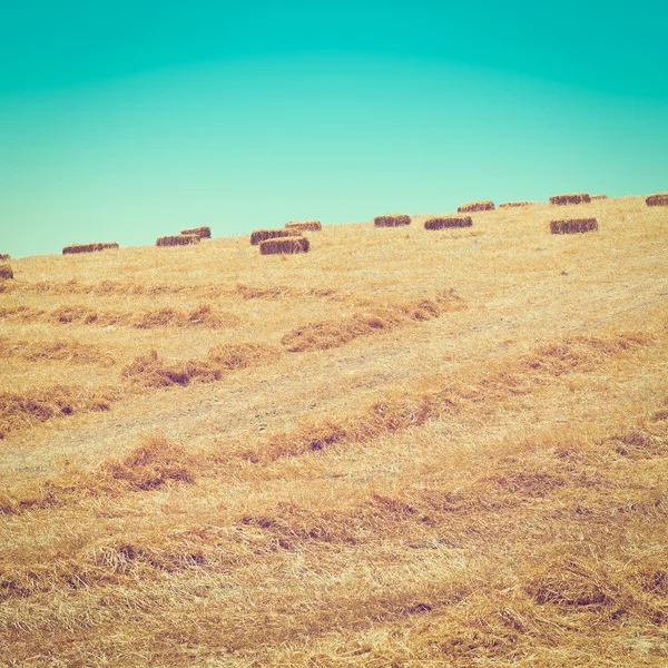 Hay Briquettes — Stock Photo, Image