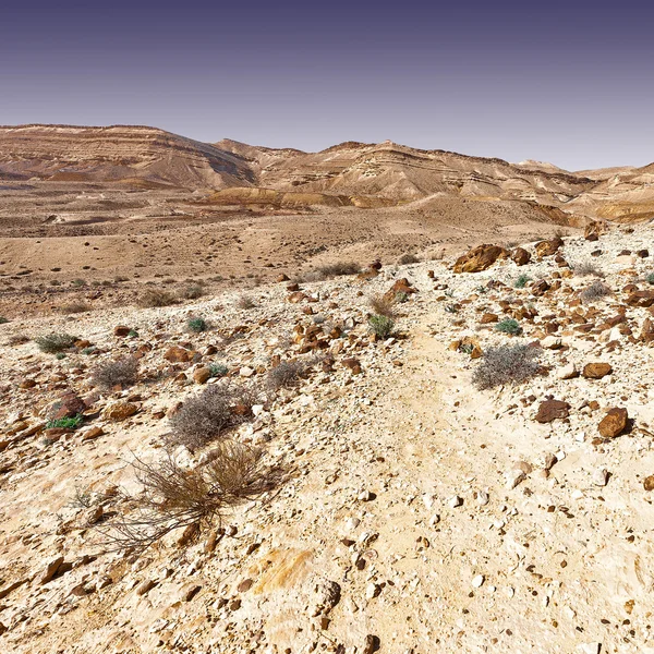 Kayalık Hills — Stok fotoğraf