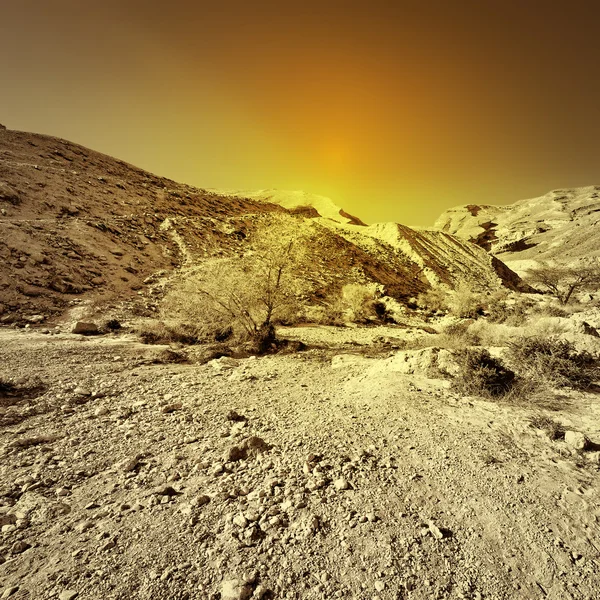 Kayalık Hills — Stok fotoğraf