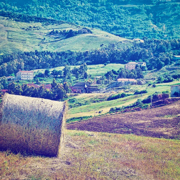 Heuballen — Stockfoto