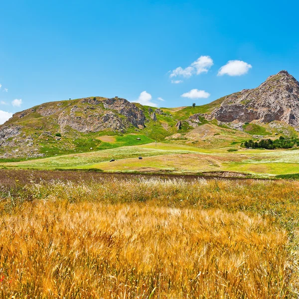 Sicilian Rocks — Stock Photo, Image