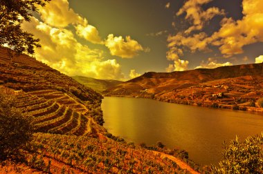 River Douro clipart