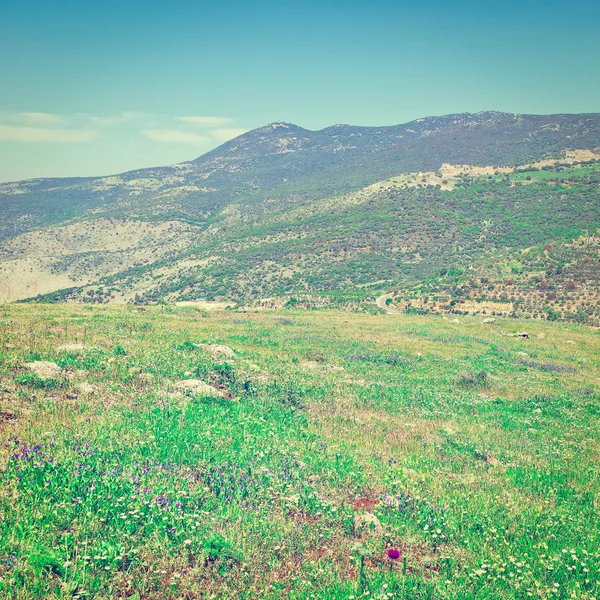 Wzgórza Golan — Zdjęcie stockowe