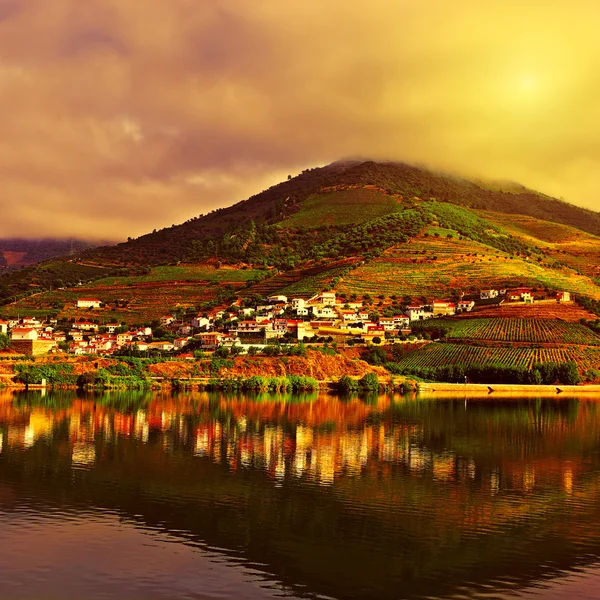 Rivière Douro — Photo