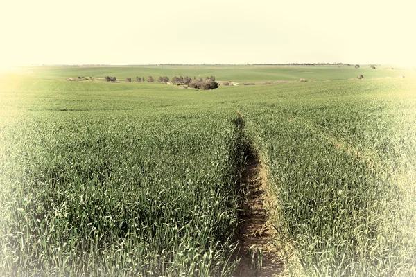 Alanlar — Stok fotoğraf