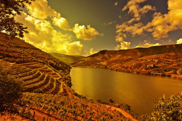 Rio douro — Fotografia de Stock