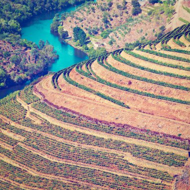 nehir douro