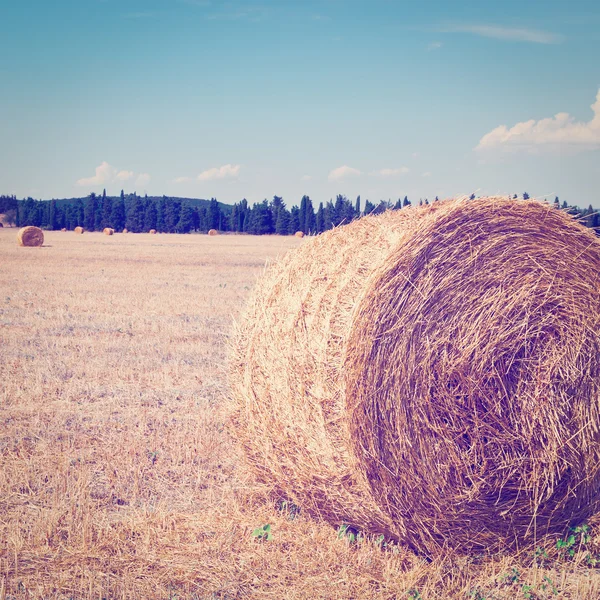 Hay Bales in Italy — Stock Photo, Image