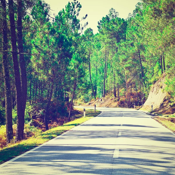 Asfalt yolu — Stok fotoğraf