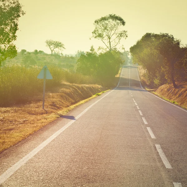 Camino de asfalto — Foto de Stock