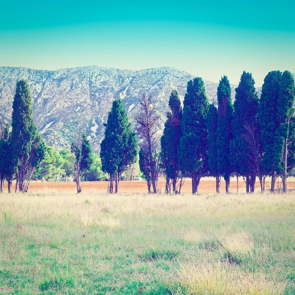 Pasture — Stock Photo, Image