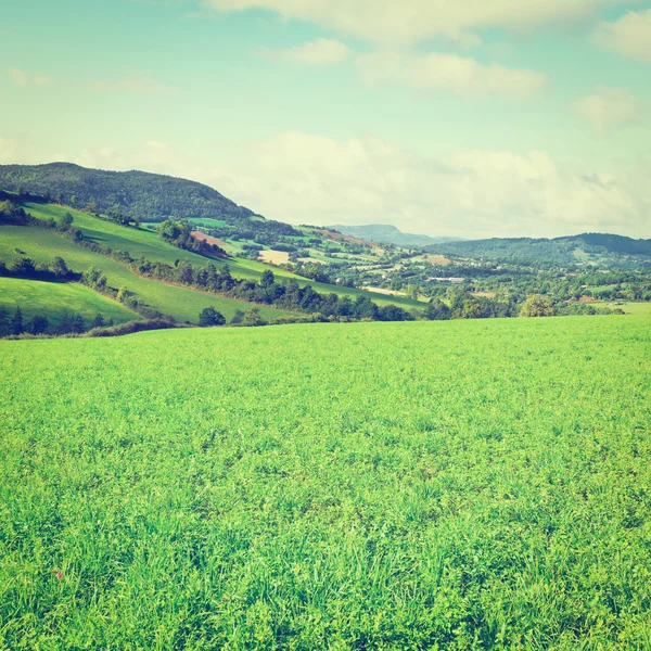 Pasture — Stock Photo, Image