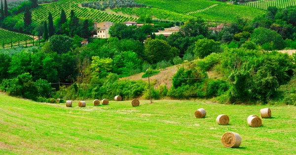 Balle di fieno — Foto Stock