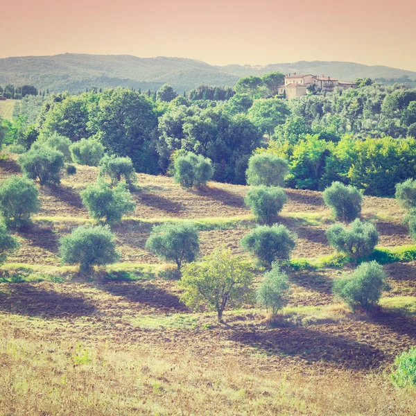 Toscaans landschap — Stockfoto