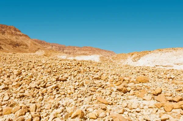 Taşlar saçılma — Stok fotoğraf