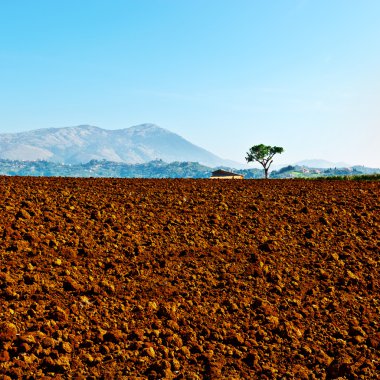 sürülmüş alanlar