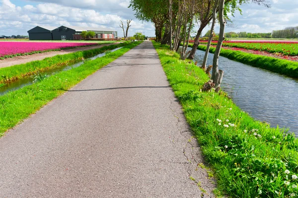 Asphaltweg — Stockfoto