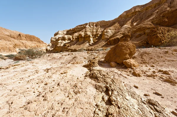 Deserto em Israel — Fotografia de Stock