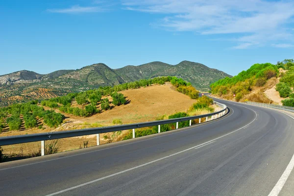 Carretera entre Groves — Foto de Stock