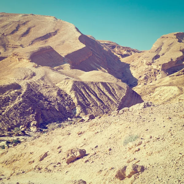 以色列沙漠 — 图库照片