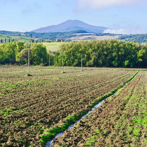 Colinas de Toscana — Foto de Stock