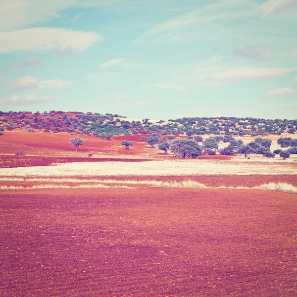 Kullarna i Spanien — Stockfoto