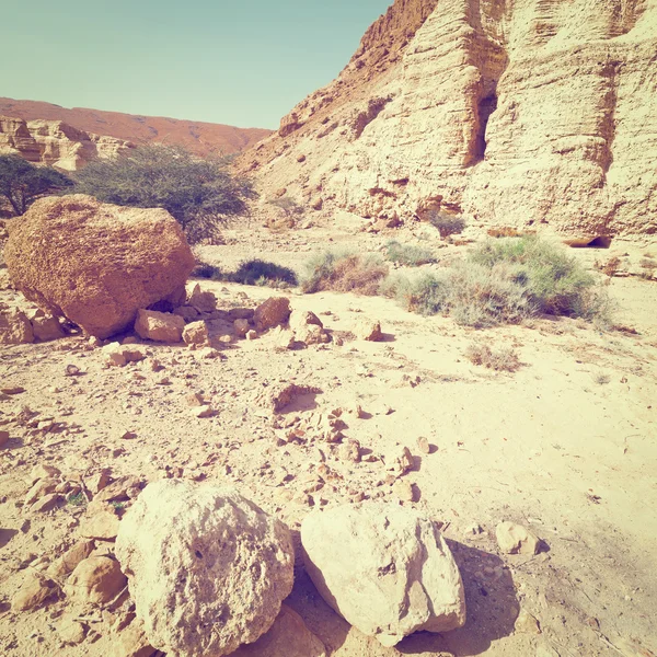 Judejská poušť — Stock fotografie