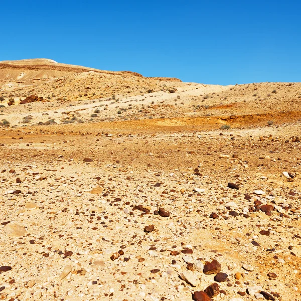 Negev... — Fotografia de Stock