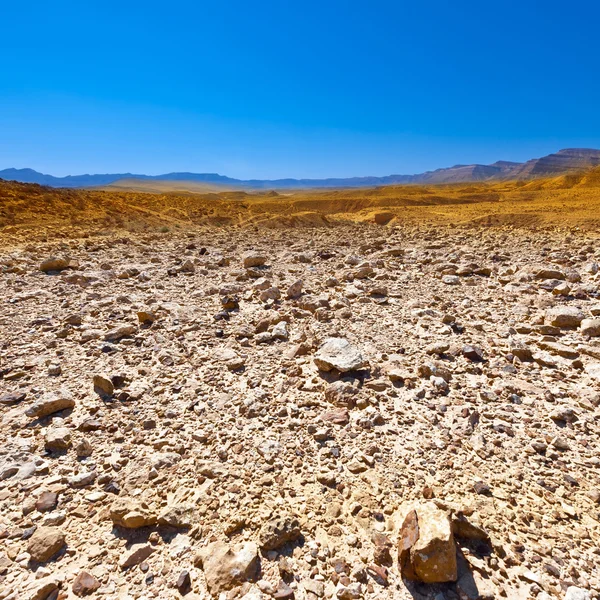 Deserto — Fotografia de Stock