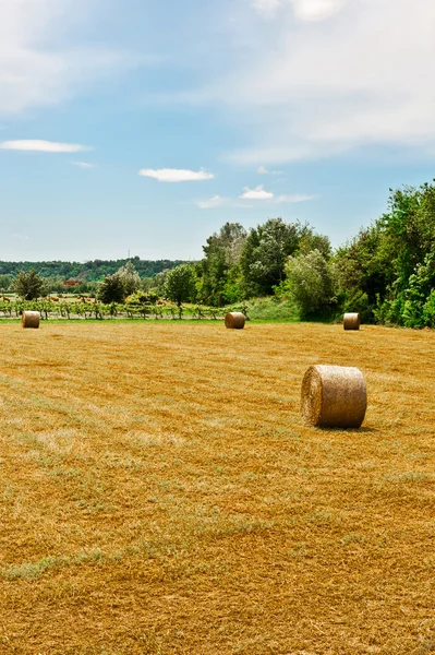 Hay bags — 图库照片